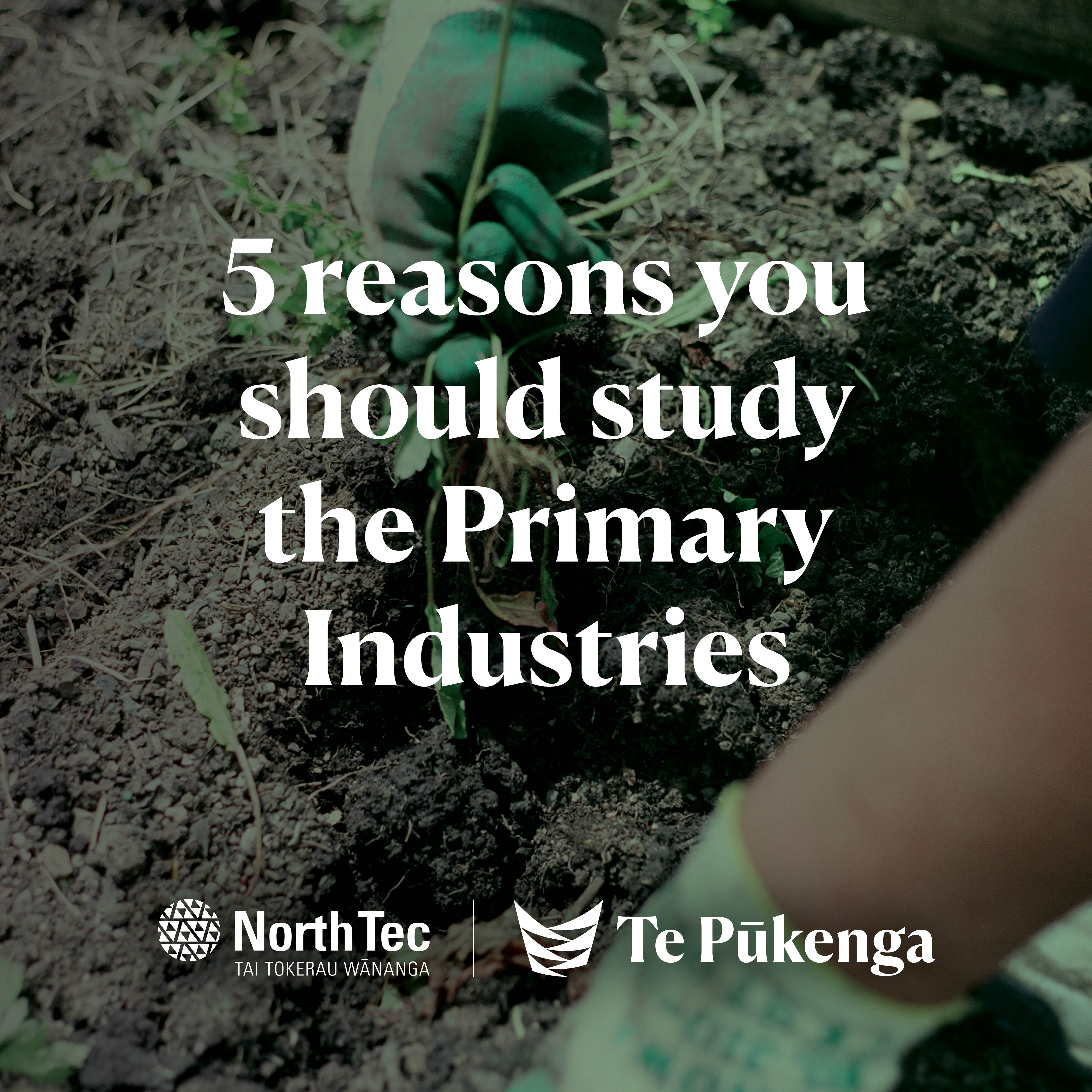 Five reasons why a job in primary industries could work for you